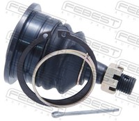 Febest 0220-Y62UF Traggelenk FüR Nissan