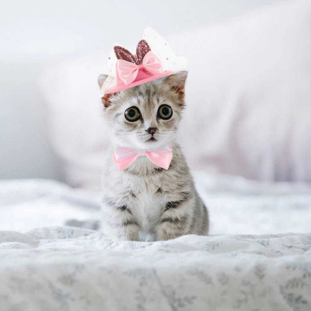 VETEMENTS Vestire per Animali Domestici Gonna Tuta Vestiti per Cani di Piccola Taglia Costume