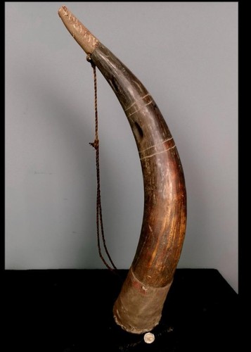 Vintage Tribal Large Bamum Animal Horn trumpet Figure -- Cameroon BN 52 - 第 2/9 張圖片