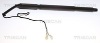 Triscan Gasfeder, Koffer-/Laderaum 8710 11302 FüR BMW