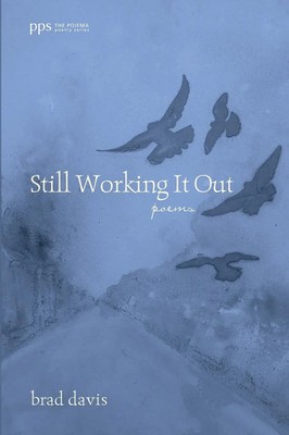 Brad Davis | Still Working It Out | Taschenbuch | Englisch (2014)