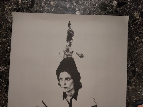 Póster ultra raro de la película de los Alpes Yorgos Lanthimos casi como nuevo 2011 - Imagen 4 de 6