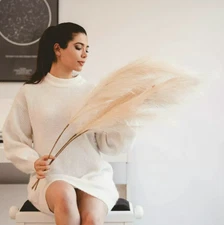 3PCS Faux Pampas Grass Large 43" /109CM Tall Artificial Pompous Grass Pompass