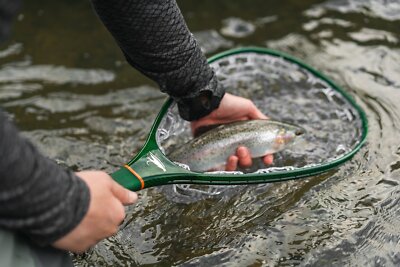 63 Wetfly Titanium Carbon Fiber Net SD Black Fishing Net Lightweight Floating for sale online | eBay 63 Wetfly Titanium Carbon Fiber Net SD Black Fishing Net Lightweight Floating for sale online | eBay
