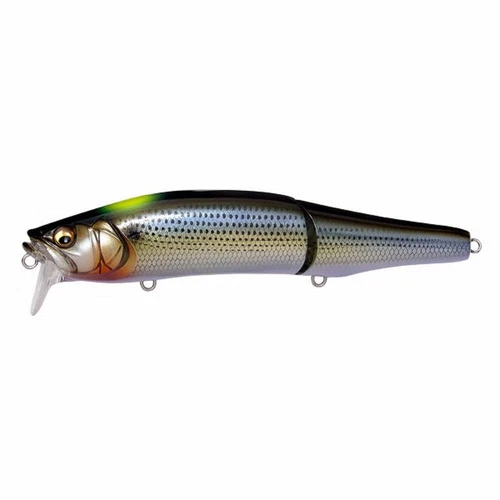 Megabass Seabass Lure Gorham 147F SW Japanese Konoshiro Indicator