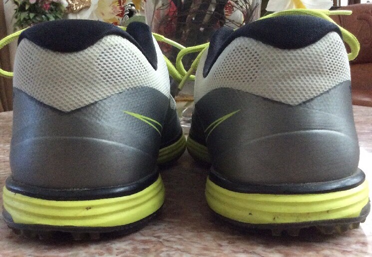 Nike Lunar Ascend II Men display picture 1
