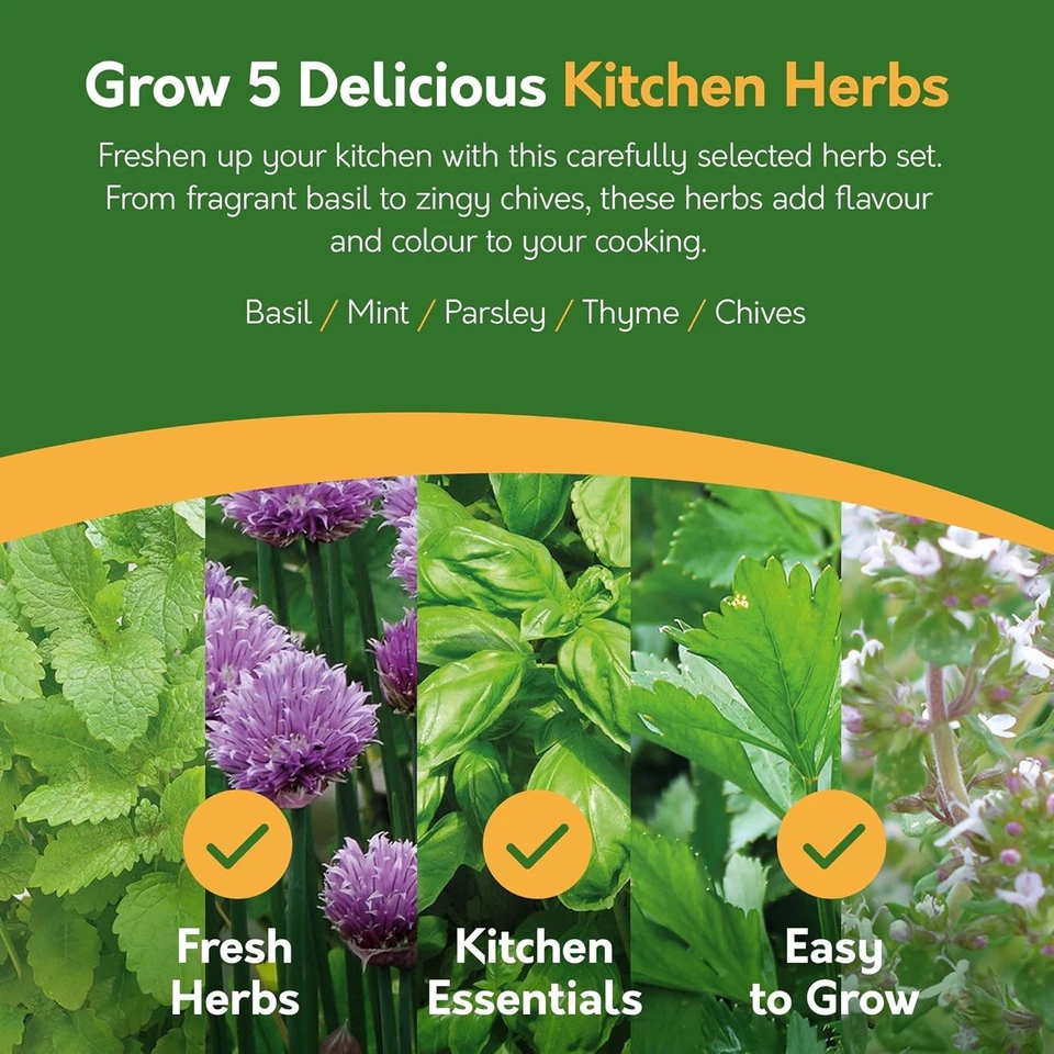 Herb Seeds | Grow Your Own Kitchen Herb Garden Kit | Gardening Gifts - Image 3 of 4
