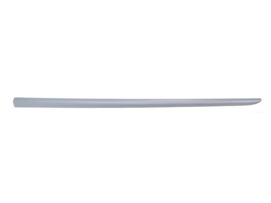 Left Front BLIC 5703-04-2024575P Trim/Protection Strip, wing for ABARTH,FIAT
