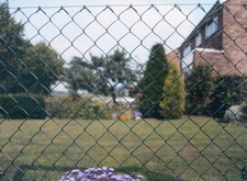 Apollo Chain Link Fence PVC 10m x 1200mm 6.00 per metre