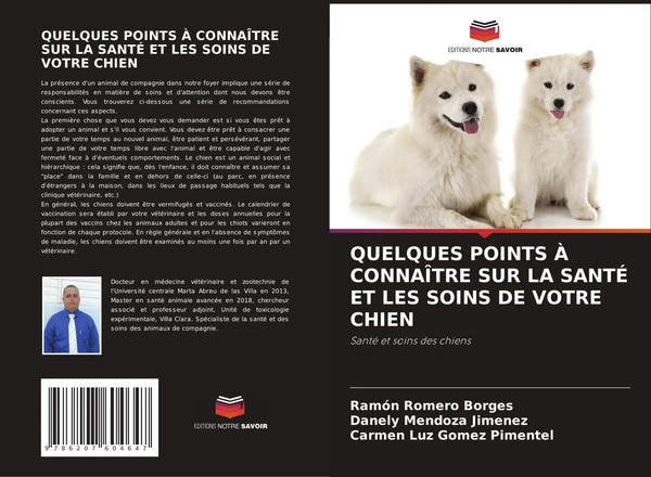 RamóN Romero Borges (U. A.) | Quelques Points À ConnaÎTre Sur La SantÉ Et Les...-image