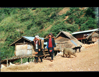 ETHNO (THAILAND) EKOH, LEBENSRAUM & SCHWEINEZUCHT