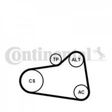 V-ribbed belt kit Continental CTAM 6PK905EXTRAK1 for Mini