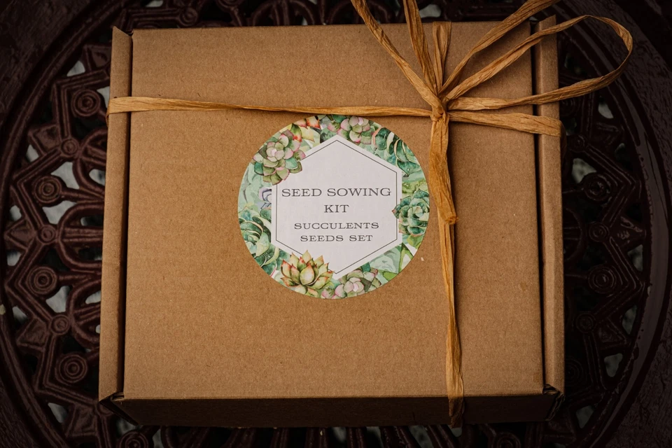 Seed Sowing Kit-Choose from 3 Types-Lithops/Cacti/Succulents- Thoughtful Gift - Image 2 of 4