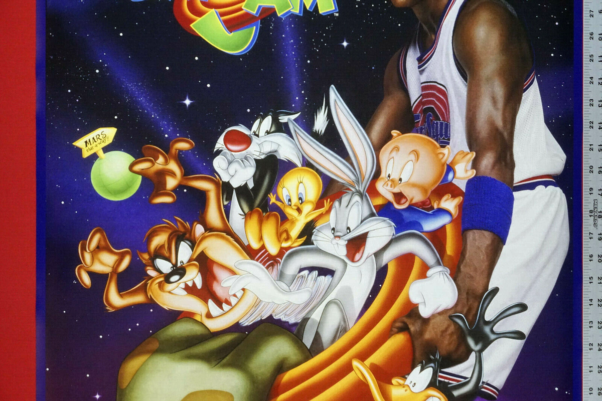 Space jam  ルーニートゥーン×マイケル・ジョーダン ロングタオル 楽天市場】90s Champion 