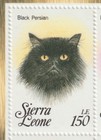 Foto 2 di 13
