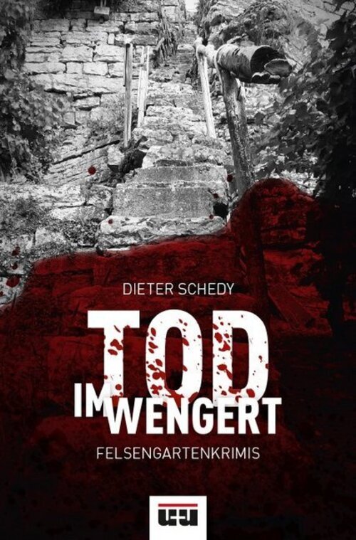 Thumbnail - Dieter Schedy | Tod Wengert | Taschenbuch | Deutsch (2020) | 96 S.