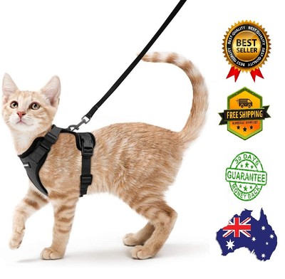 small cat harness and leash
