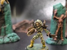 Well painted skeletal rogue/assassin dnd fant...