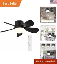 Dimmable Indoor Ceiling Fan Light with Remote Control - 16.54 Inch Modern Design