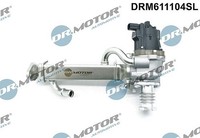 Dr.Motor Automotive Agr-Ventil FüR Fiat