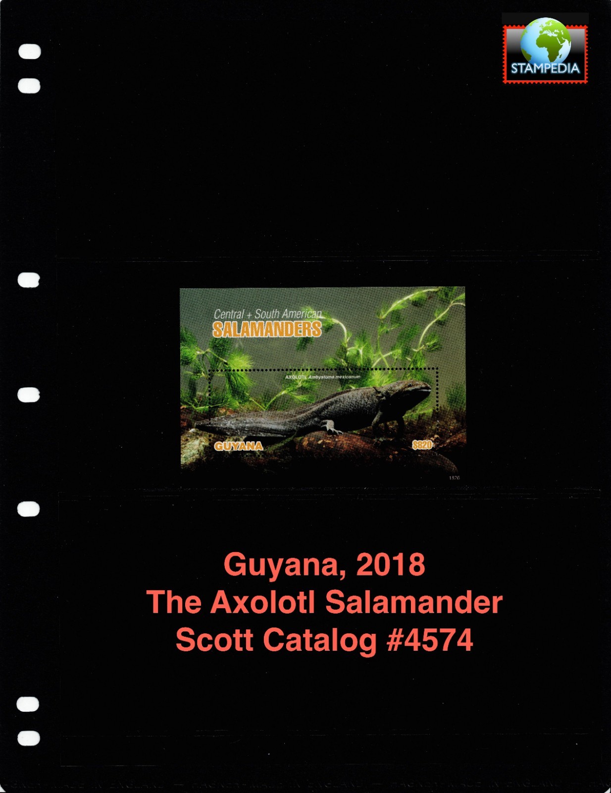 $8.00 Scott Value - 2018 GUYANA Salamander s/s South America CV MNH NH UMM