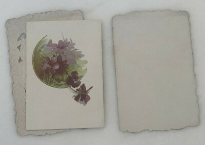 1902 VICTORIAN Summer FLOWERS Die Cut ANTIQUE Booklet Trade Card