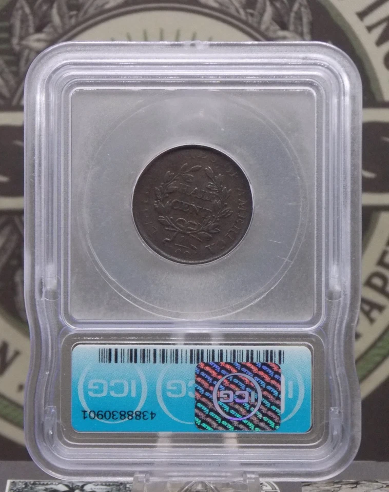 1807 Draped BUST Half Cent 1/2c ICG F12 #901 Fine ECC&C, Inc. - Image 4 of 4