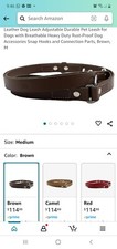 Teo Leather Dog Leash