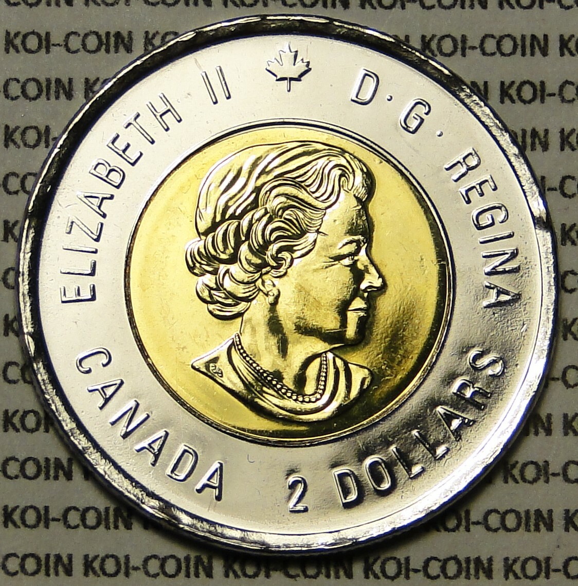 KOINONIA,コイノニア,ルー・パーディニ,4CD+2DVD s-l1200.jpg