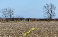 Photo 12x8 Triangulation Point Ashley/SP7990 137 metres above sea level. c2013