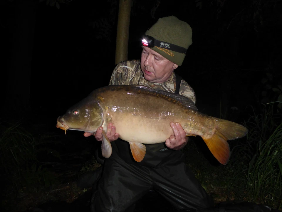 20kg Lockfutter Karpfen-Brassen-Rotaugen Angelfutter Wettkampffutter 1,75 €/kg - Bild 2 von 3