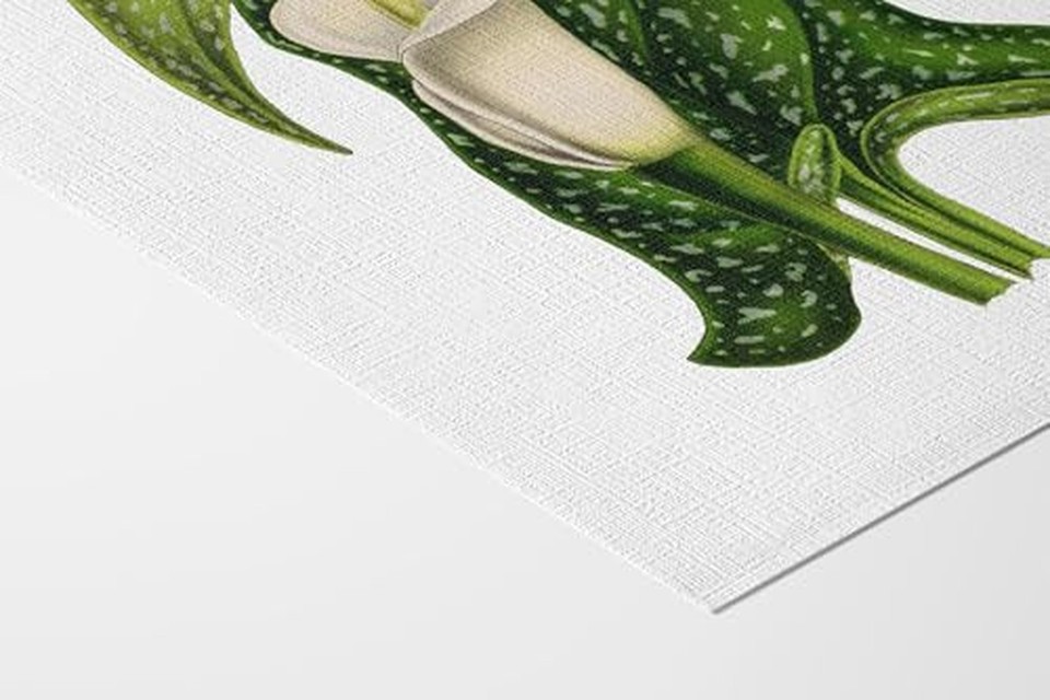 White Flower Wall Art Set of 6 – Vintage Botanical Prints – Neutral ...