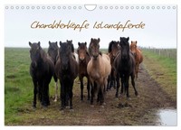 Calendar 2027 · US Version · Character Heads Icelandic Horses (Wall Calendar 202