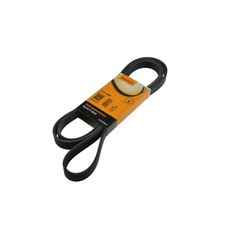 CONTITECH  -  Keilrippenriemen BMW / Ford / MB / VW