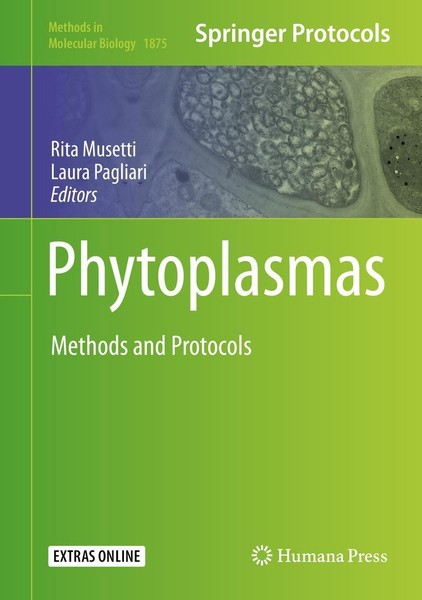 Rita Musetti (U. A.) | Phytoplasmas | Buch | Englisch (2018) | Xi | Humana-image