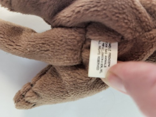 Limited Edition Fragile Friends Bean Bag Plush Franklin Flying Squirrel Small - Picture 6 of 10