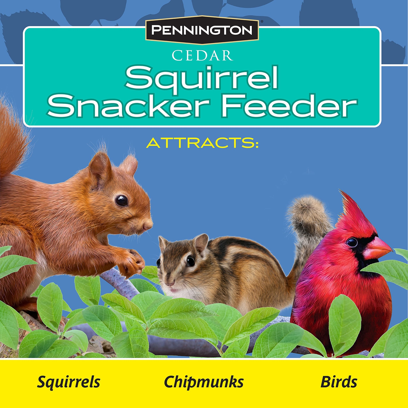 Cedar Squirrel Snacker Feeder, 2.75 LB Capacity