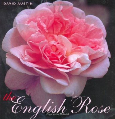 The English Rose,David Austin