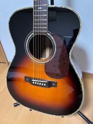 Aria Dreadnought AF-60BS High Value Acoustic Guitar Adjusted | eBay