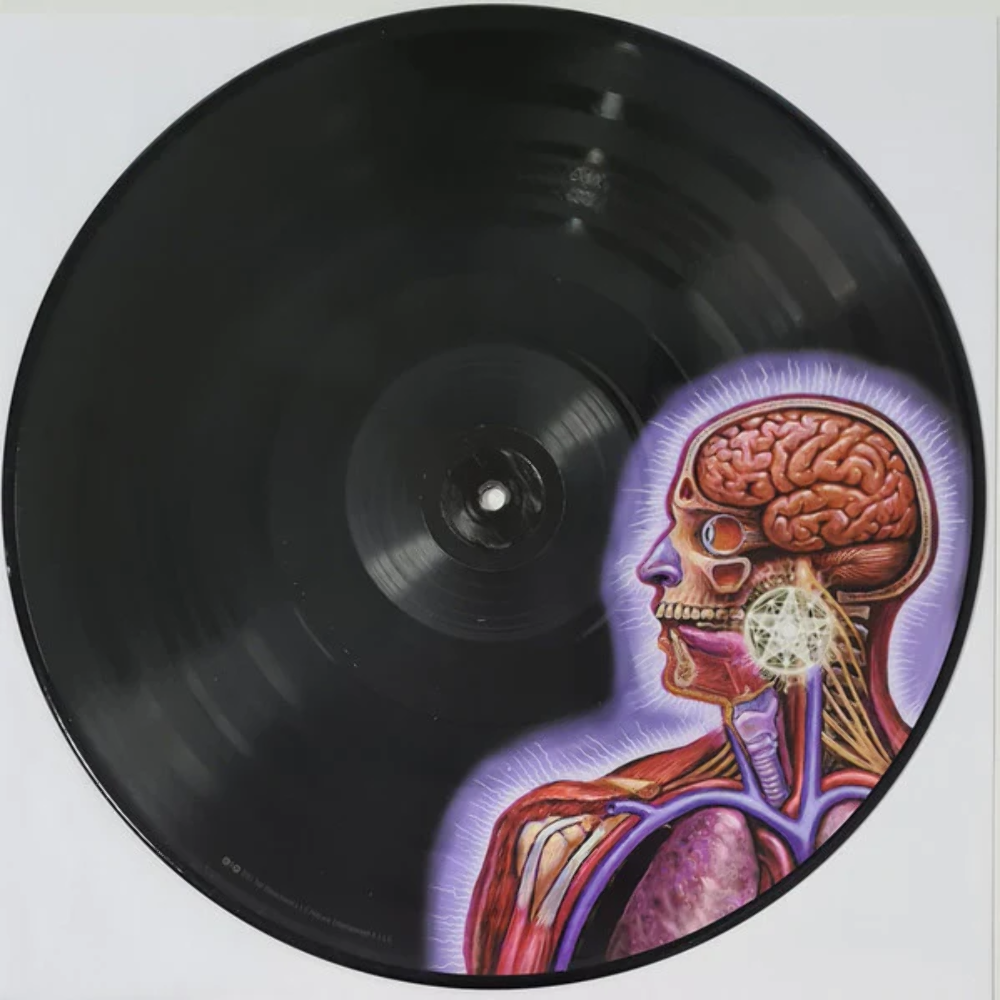 Tool『Lateralus』2LP盤 レコード Lateralus 2 LP | Tool Band Store