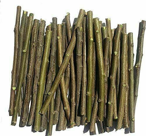 Neem Tree Twigs Natural Neem Datun Organic Toothbrush Chew 20 Sticks 10 CM Long - Picture 1 of 5