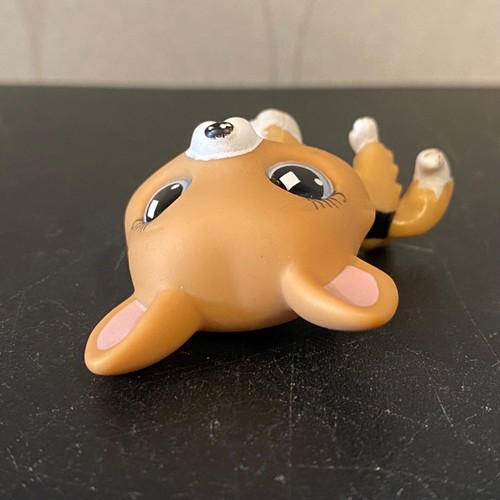 Auténtico perro corgi tostado Littlest Pet Shop #639 - Imagen 8 de 12