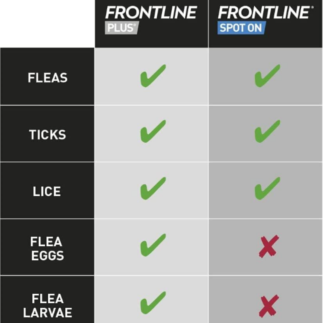 FRONTLINE Spot On Flea & Tick Treatment for Cats 6 Pipettes (Pack of