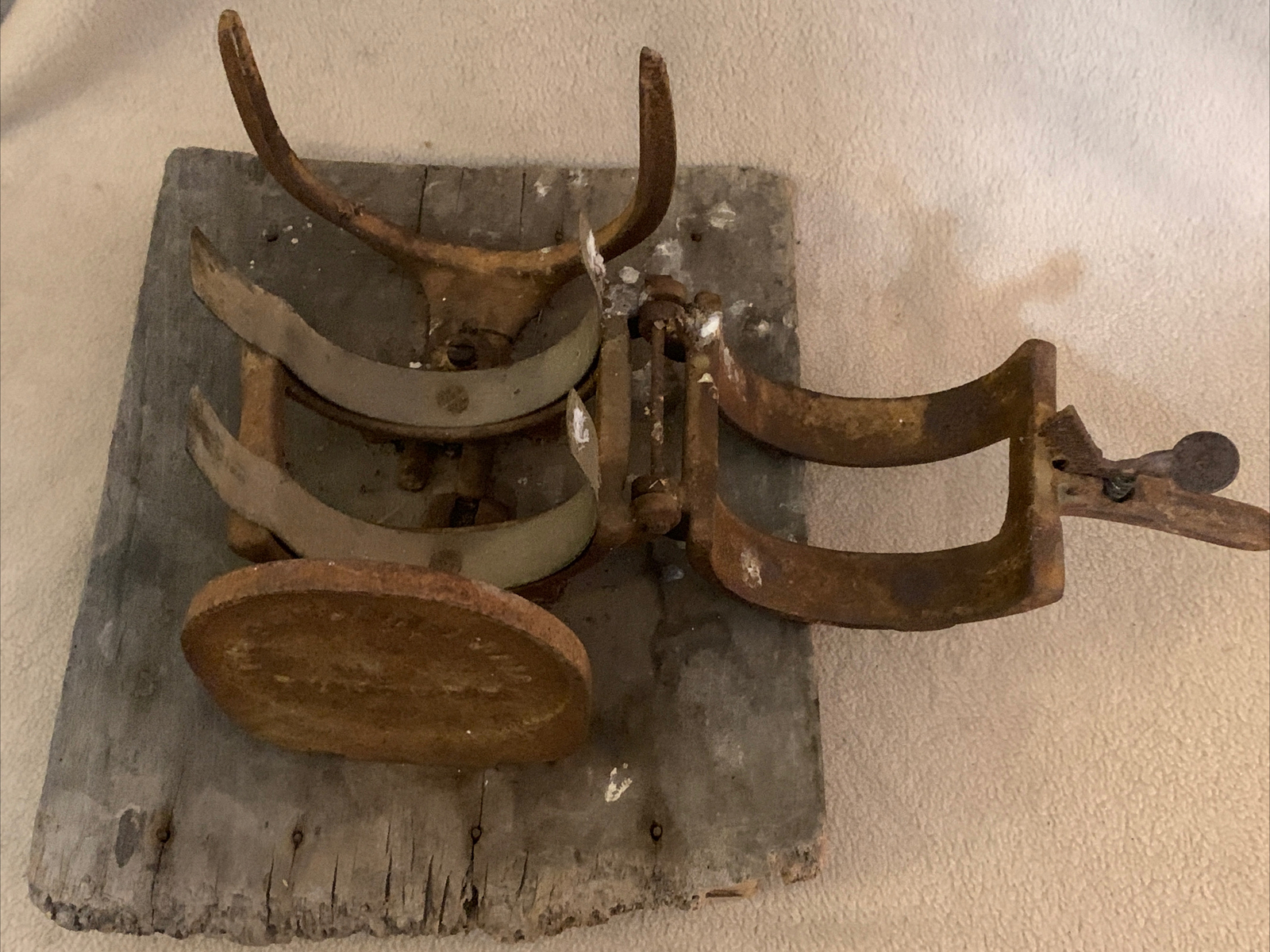 Antique Philadelphia Asparagus Buncher Old Farm Garden Old Board Mount