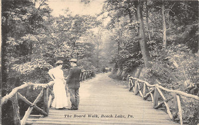 Bush Lake Pennsylvania Der Boardwalk Excelsior Postkarte C1914