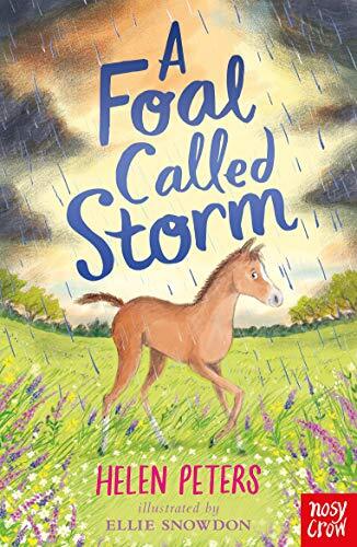 A Foal Called Storm (The Jasmine Green Series)-Helen Peters,Elli