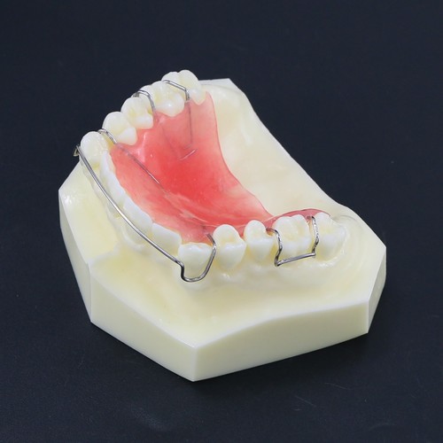Multiple Types Dental Teeth Model Ortho Implant Practice Teaching Demo Model - Picture 35 of 276