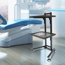 2-Tier Salon Trolley with Wheels, Durable Storage for Hairdressing Tools