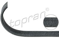 Topran Keilrippenriemen U.A. FüR Audi, Porsche, VW
