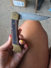 Buck 110 Ebony Wood Lockback Hunter